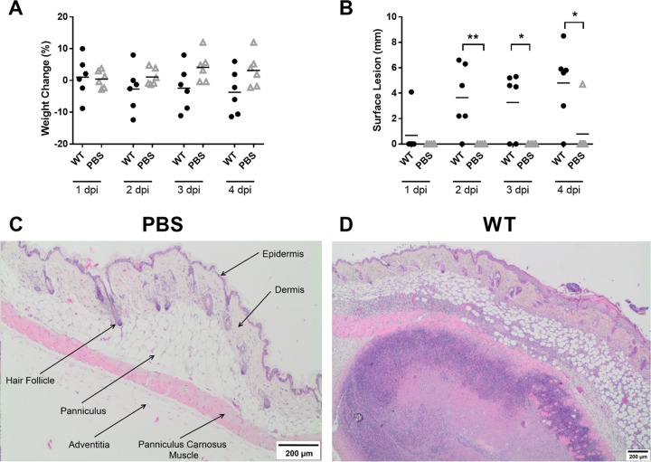 FIG 2