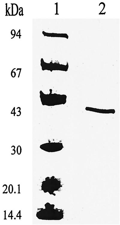 FIG. 7