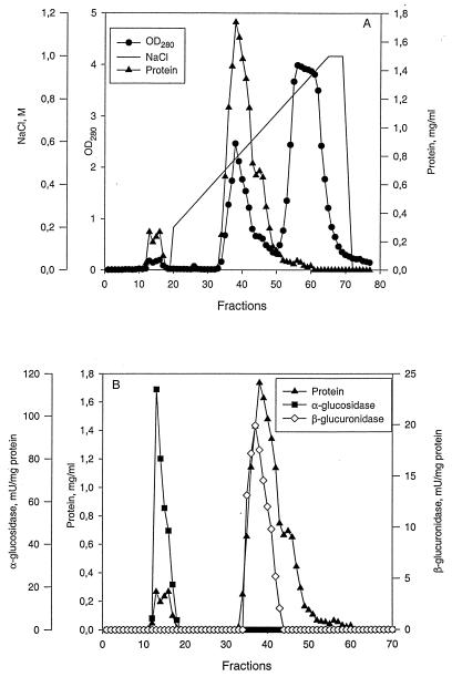 FIG. 6