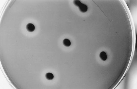 FIG. 9