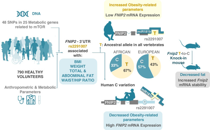 graphic file with name 13059_2022_2798_Figa_HTML.jpg