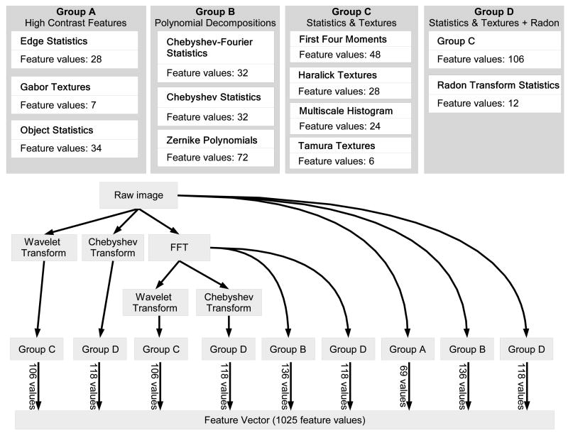 Fig. 1