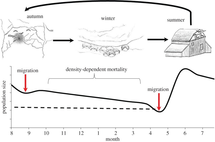 Figure 1.