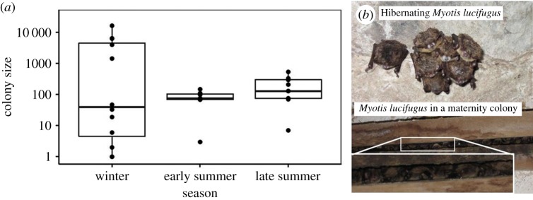 Figure 4.