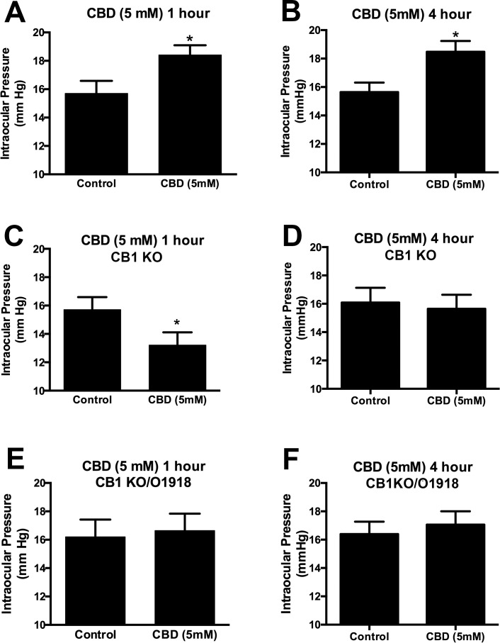 Δ9 Tetrahydrocannabinol And Cannabidiol Differentially Regulate Intraocular Pressure Pmc 9168