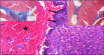 Figure-6