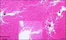 Figure-3
