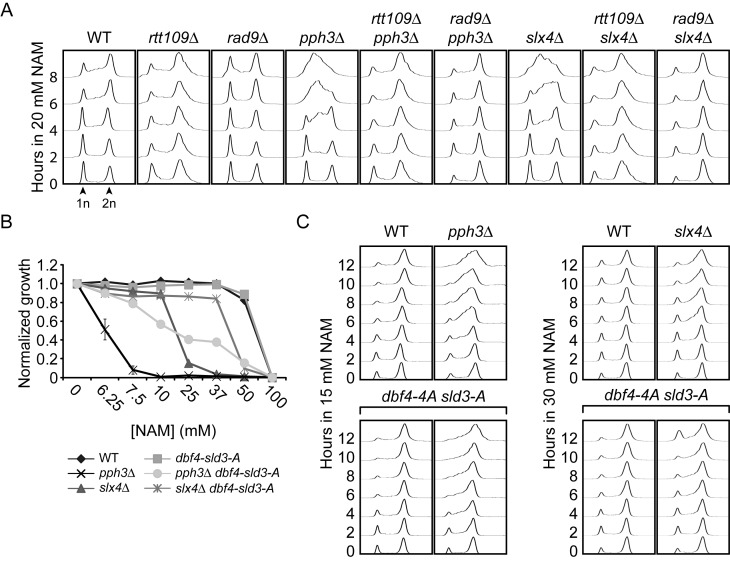 Figure 5.