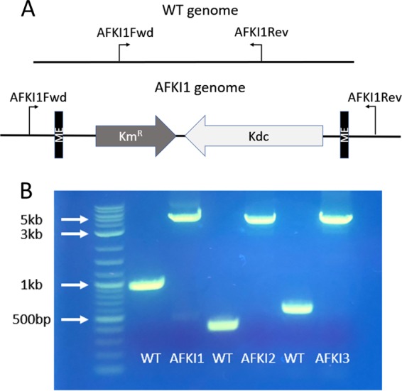 FIG 4