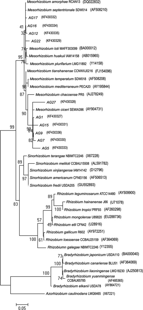 Fig. 3