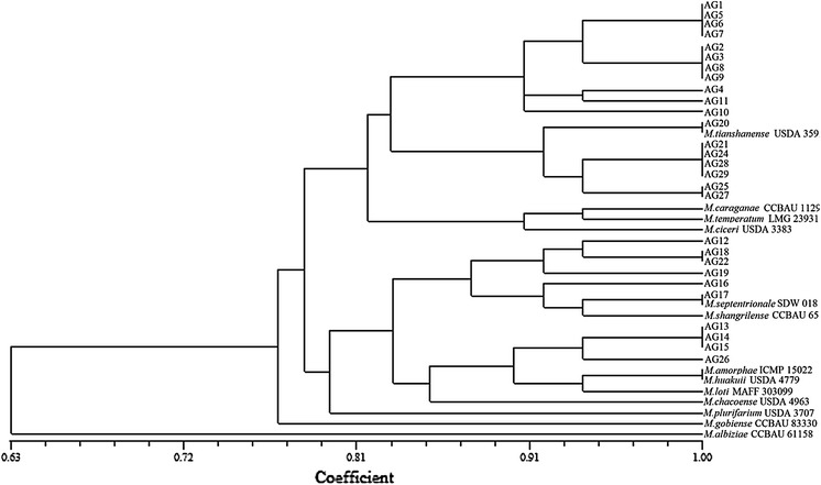 Fig. 4