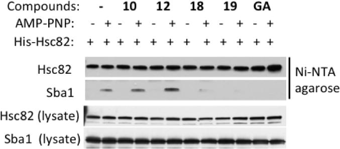 Figure 7