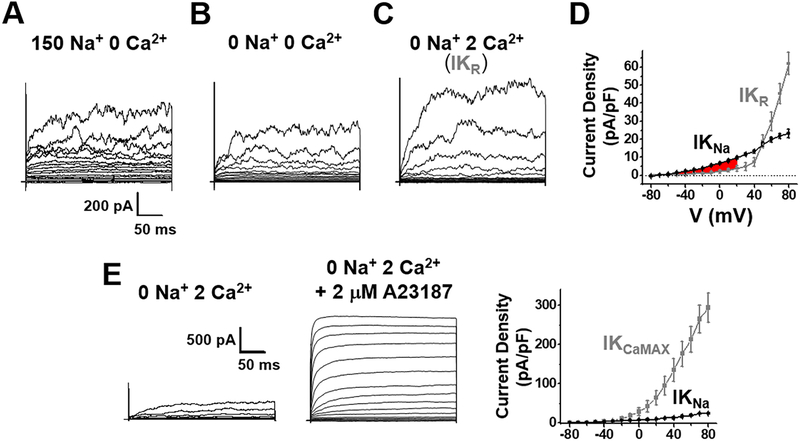 Fig. 3.