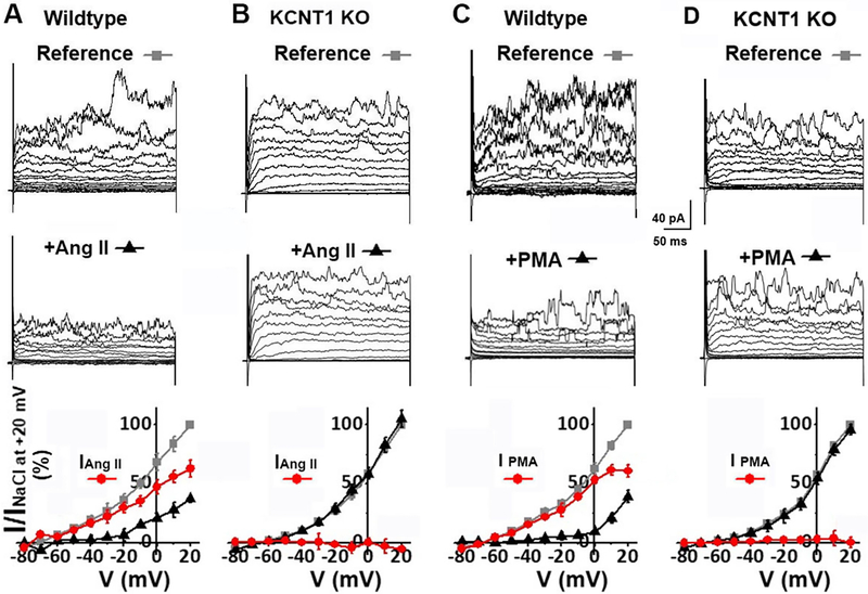 Fig. 6.