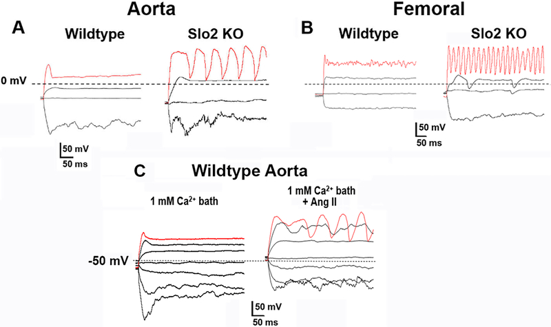 Fig. 10.