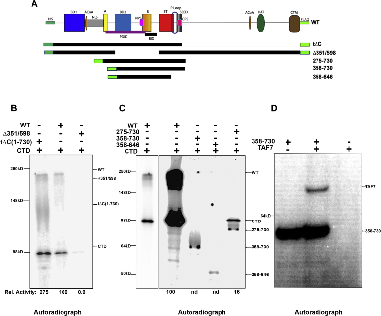 Figure 2