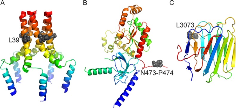 Figure 6.