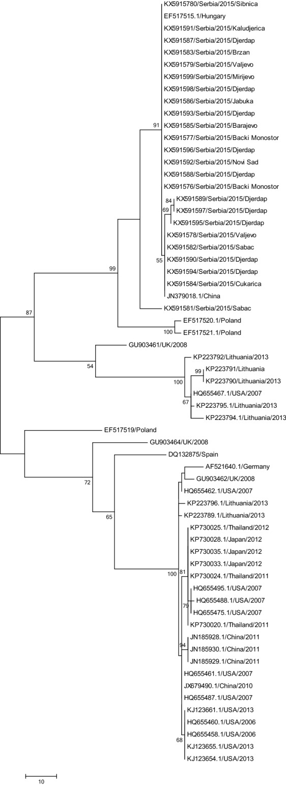 Fig. 1