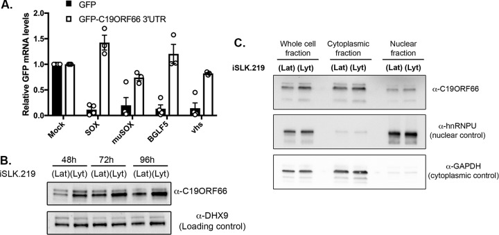 FIG 3