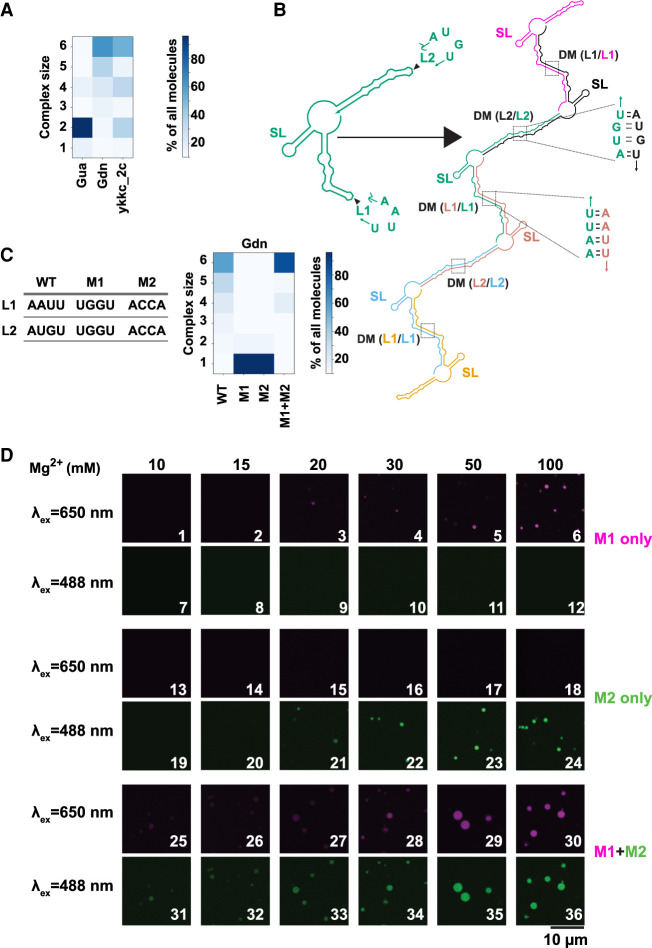 FIGURE 3.