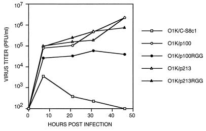 FIG. 3