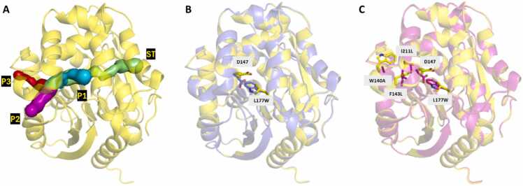 Fig. 1