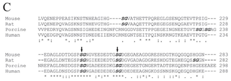 Figure 3C