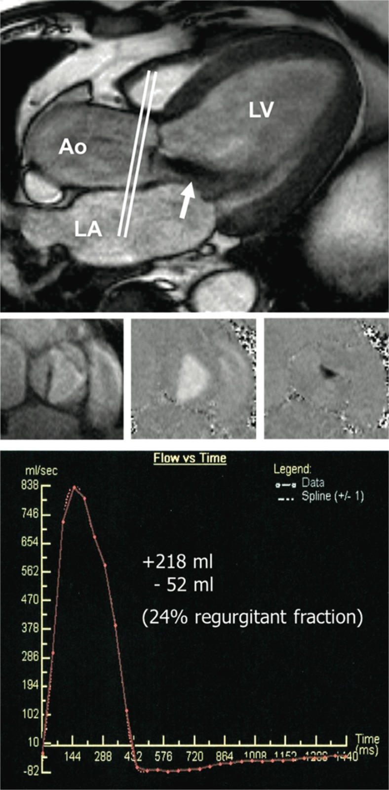 Fig. 5