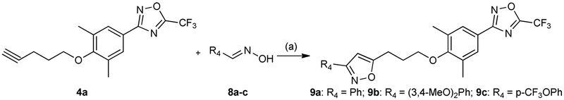 Scheme 3.