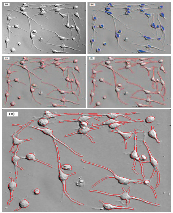 Fig.4