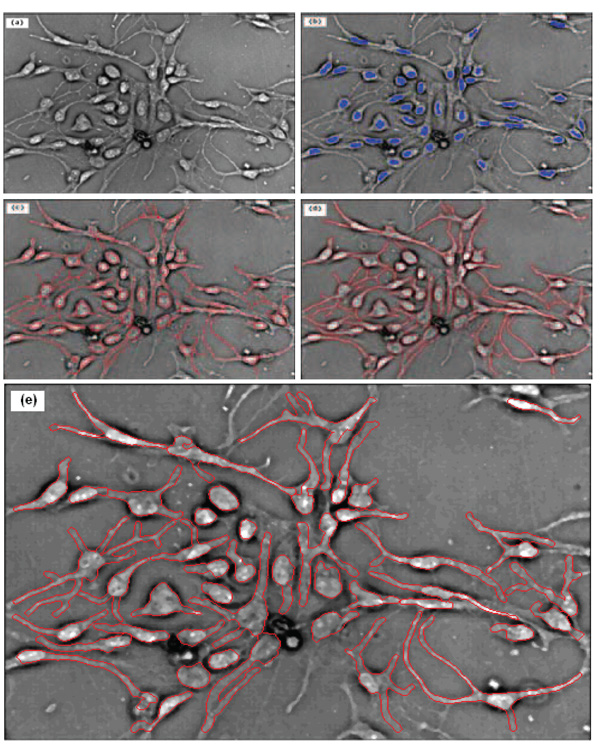 Fig.3