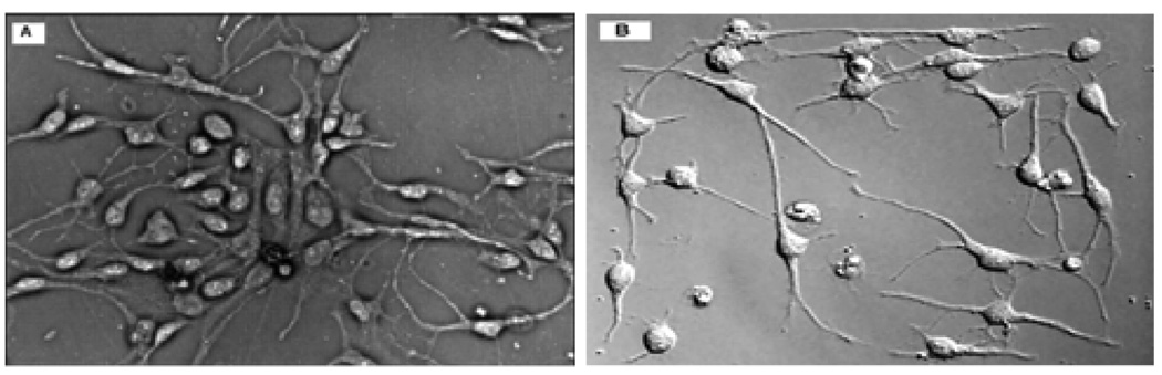 Fig.1