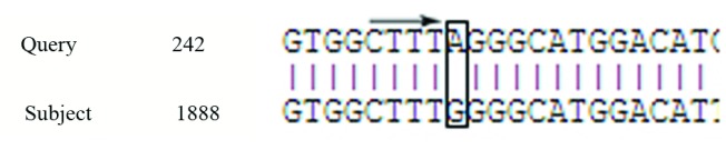 Figure 4.