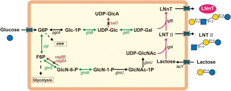 Fig. 1