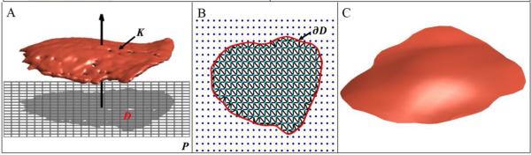 Fig. 2