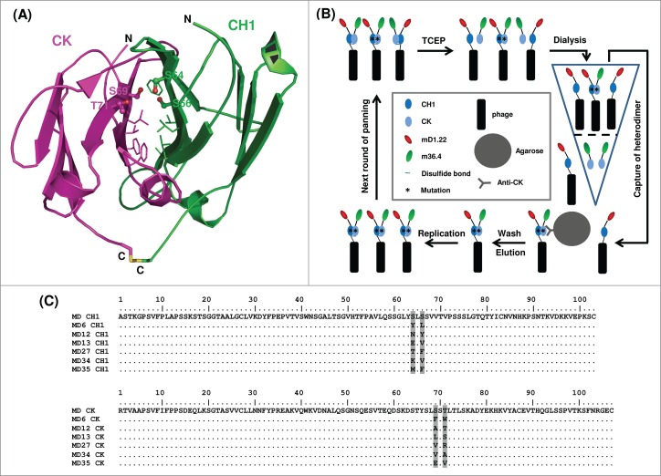 Figure 2.