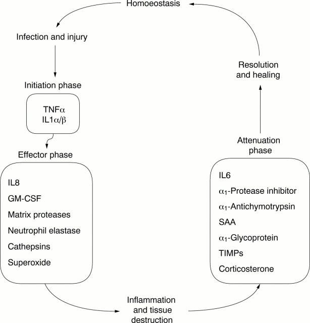 Figure 1  