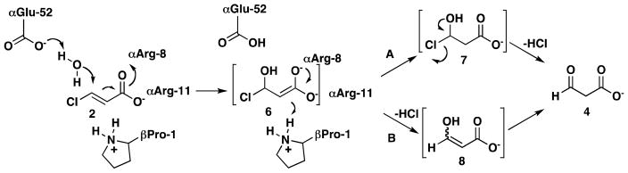 Scheme 2