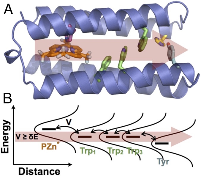 Fig. 4.