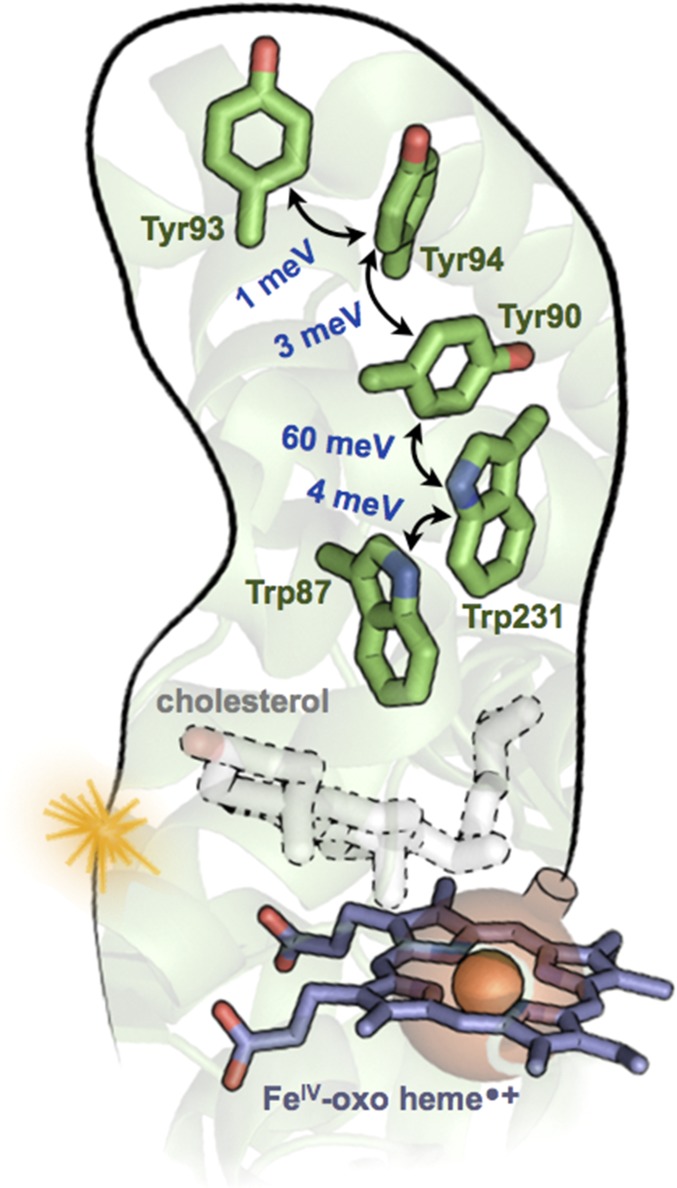 Fig. 2.