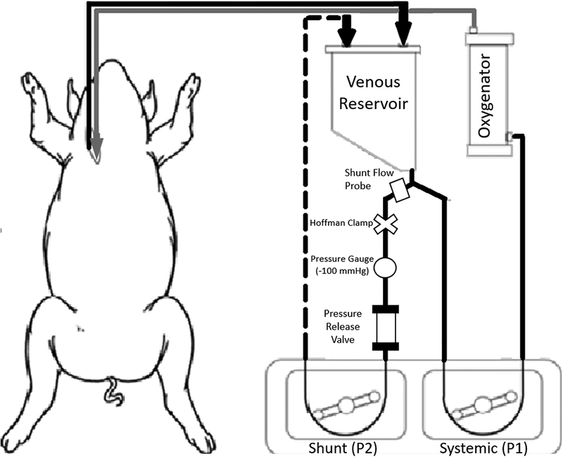 Figure 1: