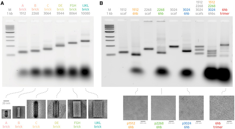 Figure 4.