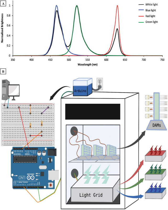 FIGURE 1