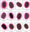Fig 8