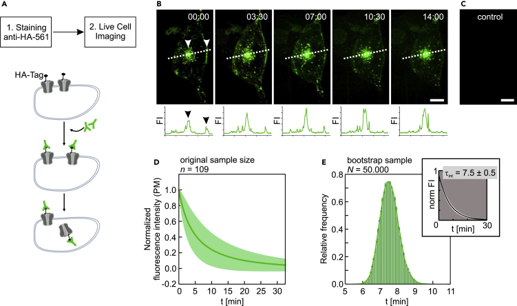 Figure 3