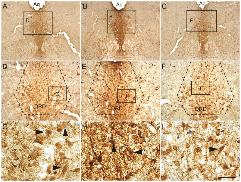 Fig. 9.