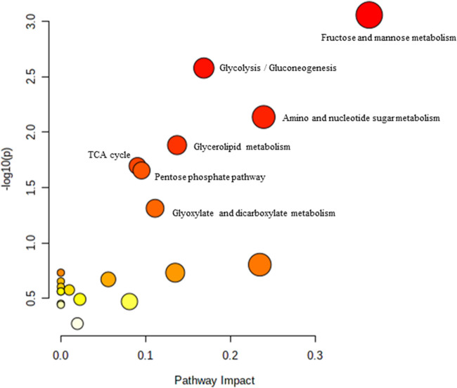 FIGURE 2