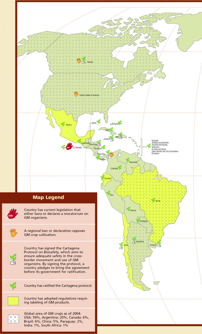 Genetically Modified Crops and Foods