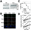 FIG. 7.