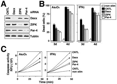 FIG. 9.